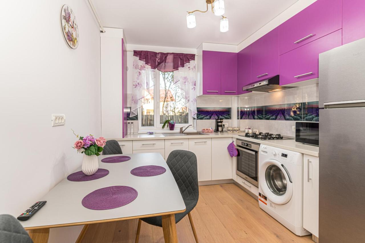 Apartamente Lavender Braşov Esterno foto